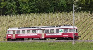 Ticket Rundfahrt inkl. Weindegustation
